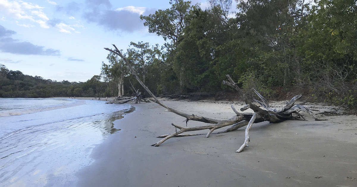 Kewarra Beach Dog Park