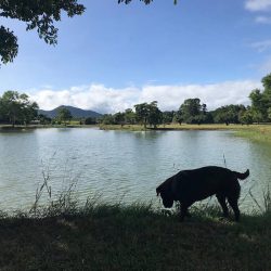 biggie exploring barron waters