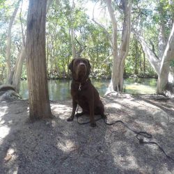 biggie at bottom of emerald creek falls