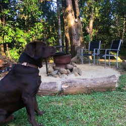 Tropical Woopen Creek Camping