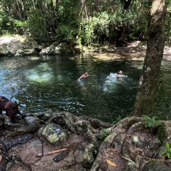 Dog-Friendly-Water-Hole-Bloomfield-Track