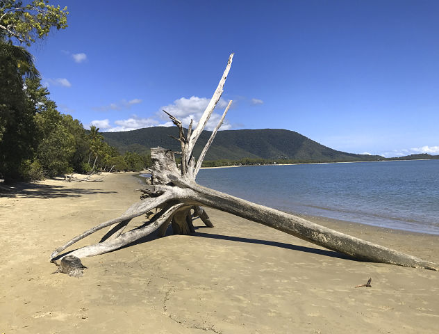 Kewarra Beach Featured Image