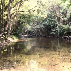 Shambala-campground-creek-other-side