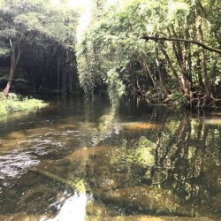 shambala-campground-creek