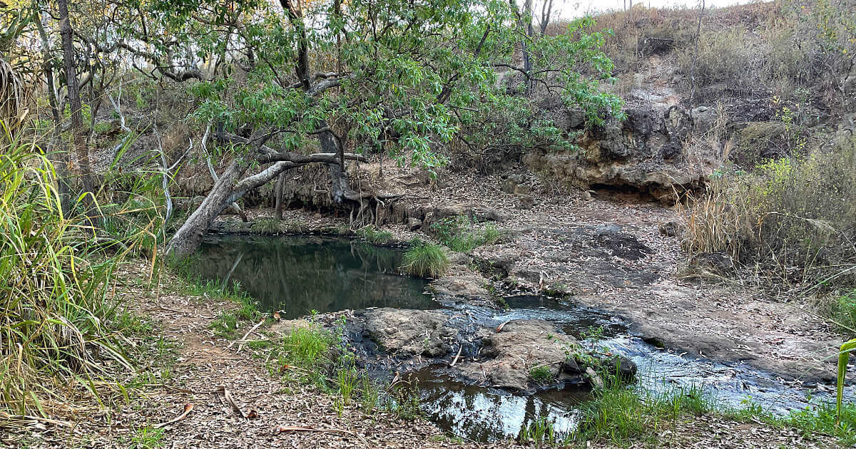 Wallys Roost Creek