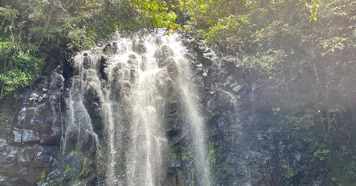 Zillie falls the only dog friendly waterfall on the waterfall circuit