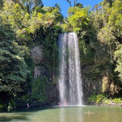 millaa millaa waterfall