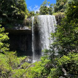 Waterfall Circuit Cairns