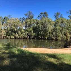 Woodleigh Station has great swimming options