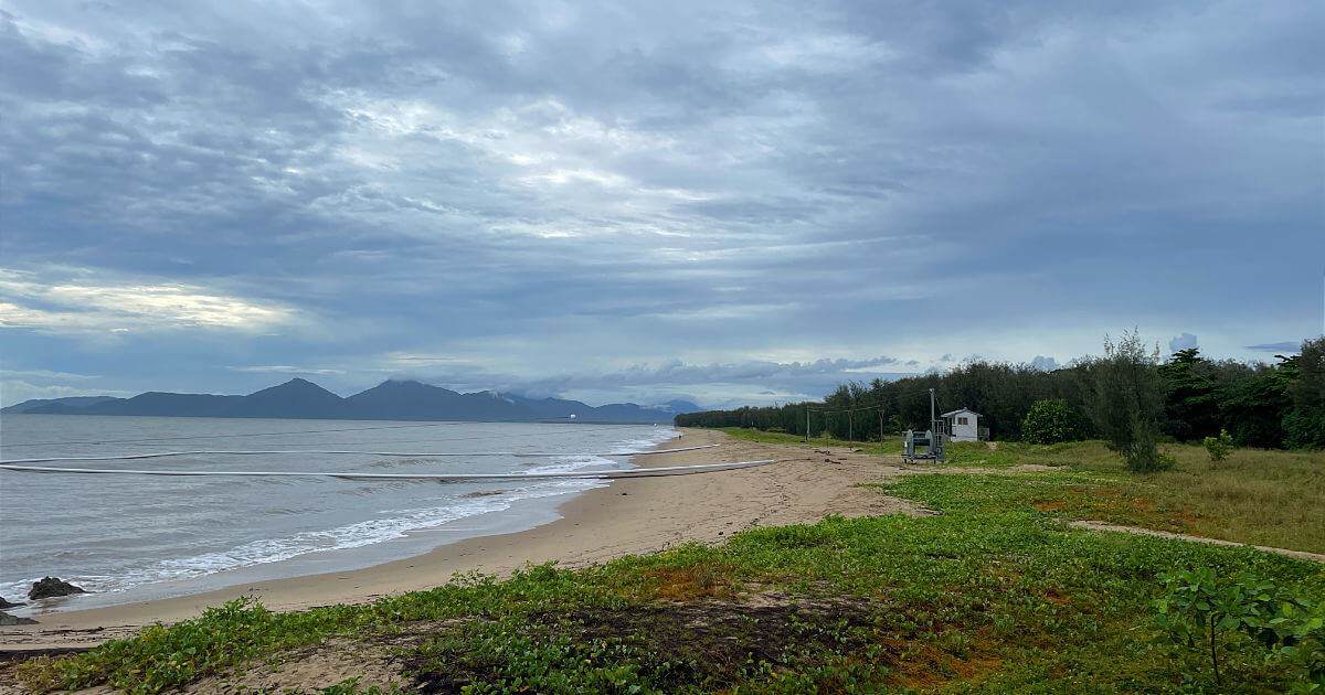 Yorkeys Knob Dog friendly beach