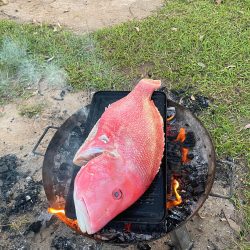 Genazzano Campground Fish