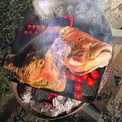 Genazzano Campground Fish