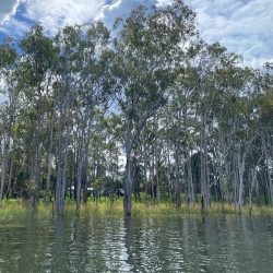 Genazzano Campground Great Views while Kayaking